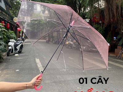 Dù trong suốt thời trang cán dài nhựa dẻo [3 màu] R93cm PHUKIEN-01